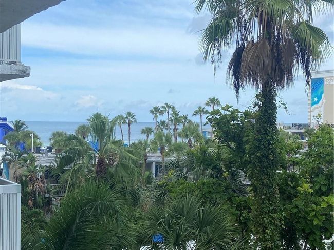 beautiful tropical views of Gulf | Image 4
