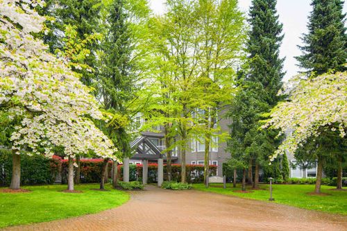 206-15150 108 Ave, Surrey, BC, V3R0V1 | Card Image