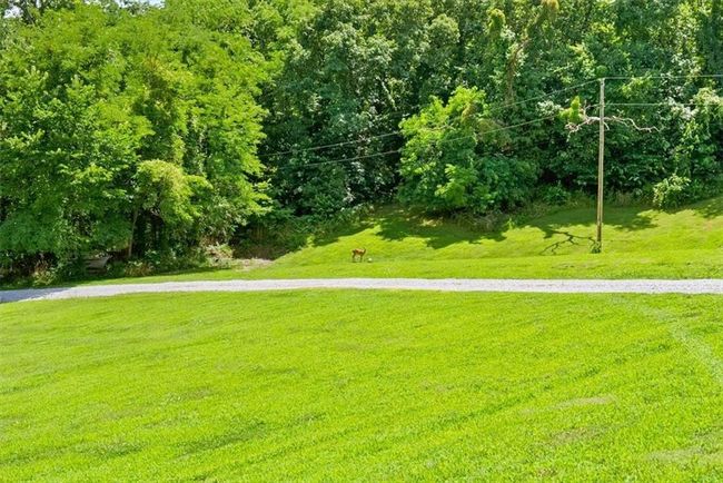 View of property's community featuring a yard | Image 28