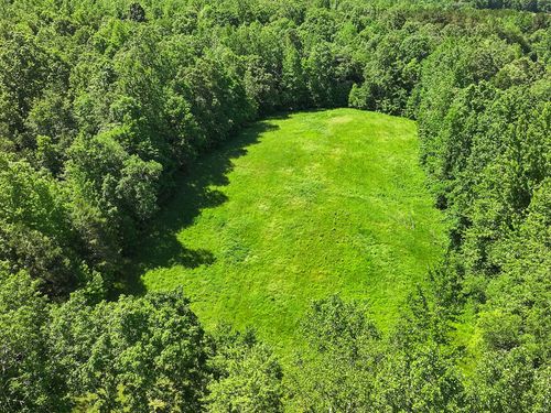 0 Hohammer Rd, Holladay, TN, 38341 | Card Image