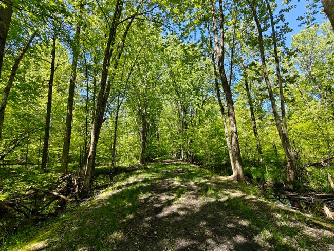 10830 3 Mile Rd, Home with 0 bedrooms, 0 bathrooms and null parking in Branch MI | Image 17