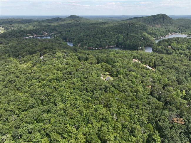 200 Maxorrick Loop, Home with 0 bedrooms, 0 bathrooms and null parking in Landrum SC | Image 9