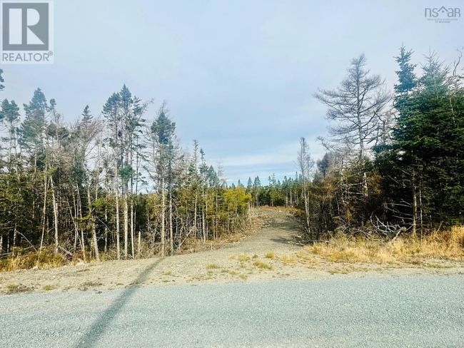 4 W Liscomb Point Rd, Home with 0 bedrooms, 0 bathrooms and null parking in Liscomb NS | Image 20