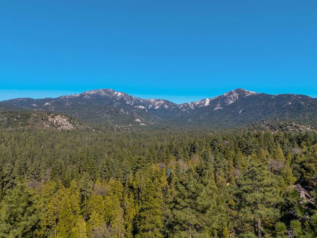 DJI_20250204131643_0062_D | Image 87
