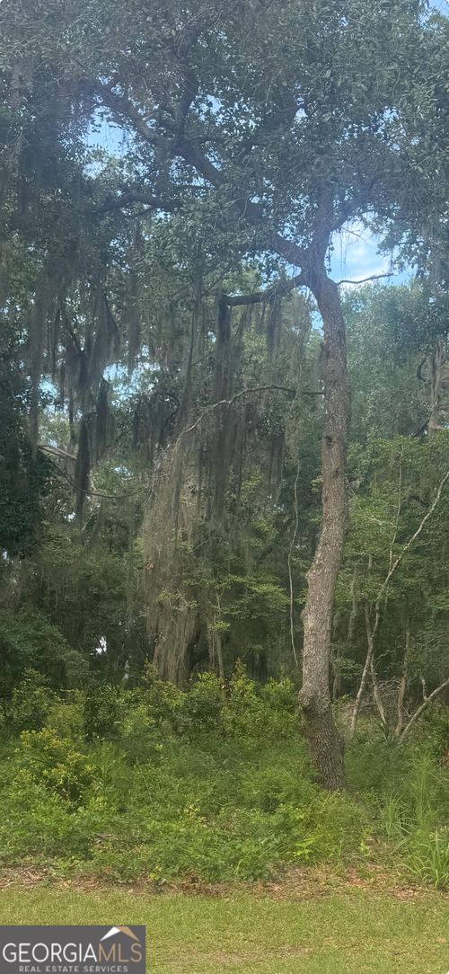 V/L 500 Storey Avenue, St. Marys, GA, 31558 | Card Image