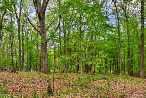 0 Waters Edge Ln, Bumpus Mills, TN, 37028 | Card Image