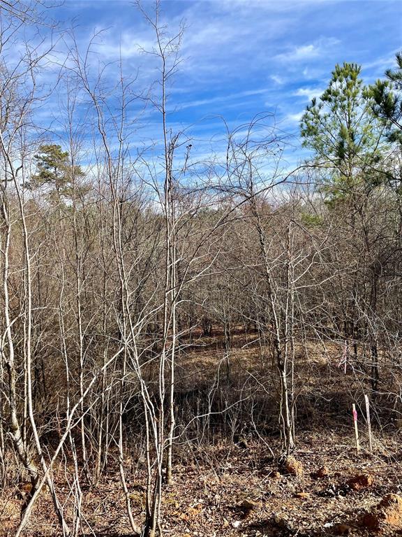 Land in Broken Bow