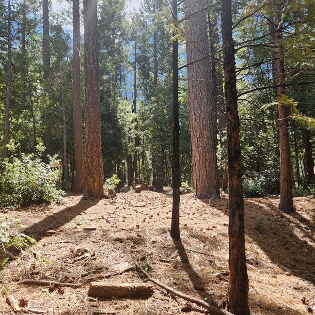11254 Winding Way, Home with 0 bedrooms, 0 bathrooms and null parking in Clipper Mills CA | Image 4