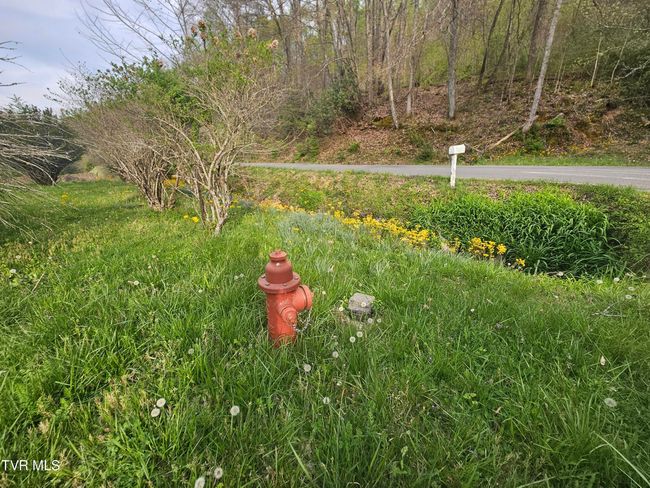 2320 Left Poor Valley Rd, Home with 0 bedrooms, 0 bathrooms and null parking in Pennington Gap VA | Image 4