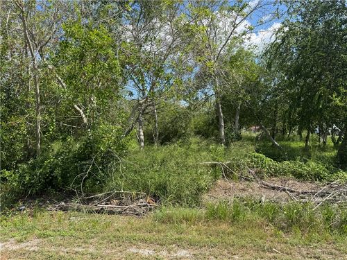 543 W Verbina Street, Taft, TX, 78390 | Card Image
