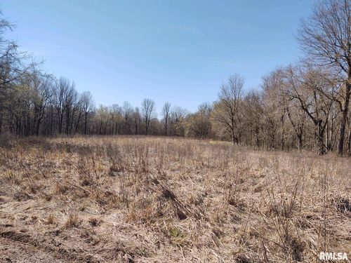 1781 Olmsted Rd, Villa Ridge, IL, 62996-2145 | Card Image