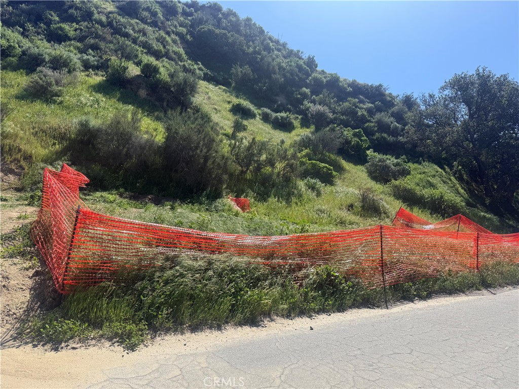 Land in Castaic 5
