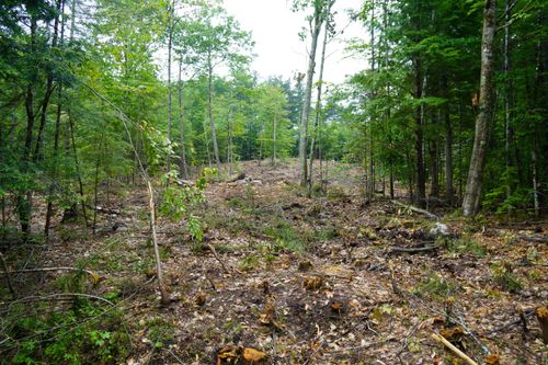 89 Chapman Road, Harrison, ME, 04040 | Card Image