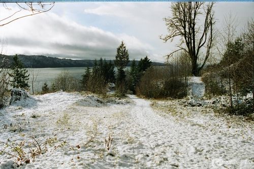 9 Us Highway 101, Lilliwaup, WA, 98555 | Card Image