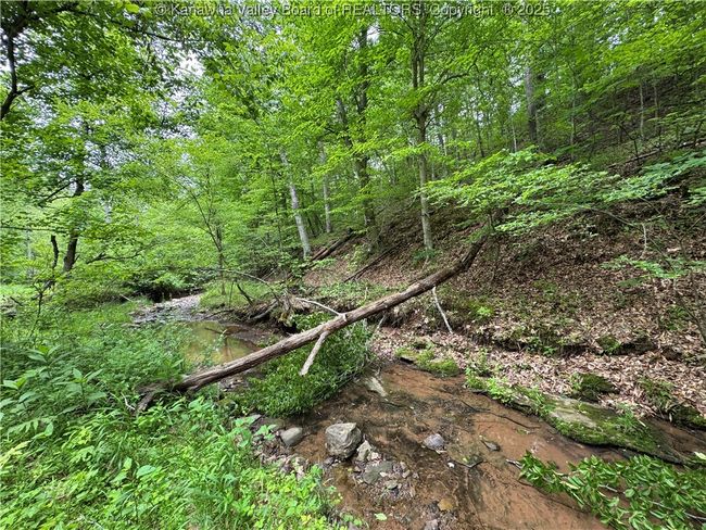 3177 Mount Union Rd, Home with 0 bedrooms, 0 bathrooms and null parking in Fraziers Bottom WV | Image 15