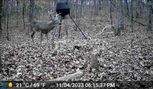 0 Us Highway 60, Van Buren, MO, 63965 | Card Image