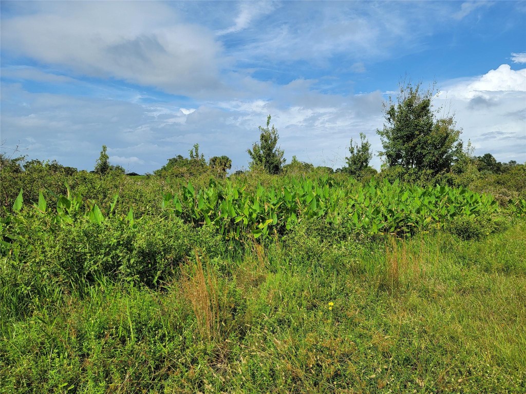 Land in Okeechobee 3