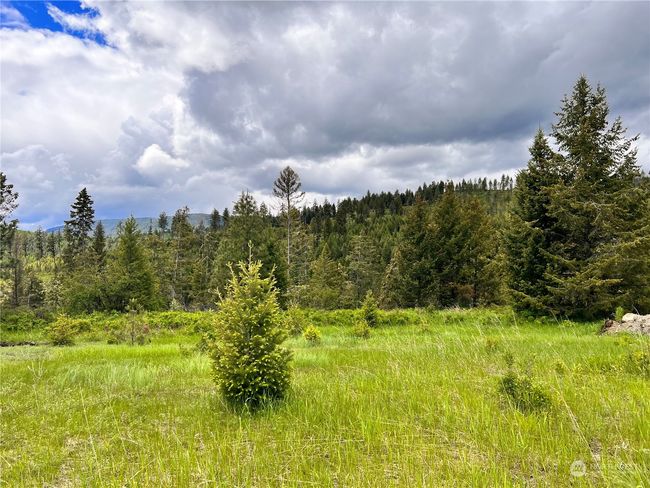 0 TBD Goosmus Creek Rd, Home with 0 bedrooms, 0 bathrooms and null parking in Curlew WA | Image 10