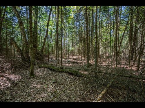 Lot 3 Memory Ln, Eagle River, WI, 54521 | Card Image