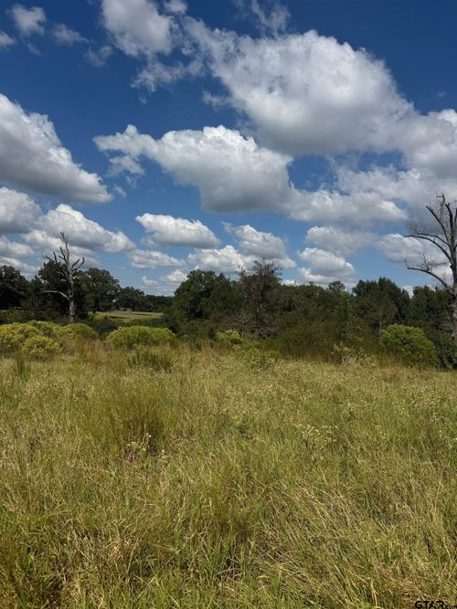 5517 Pr 5107, Athens, TX, 75752 | Card Image