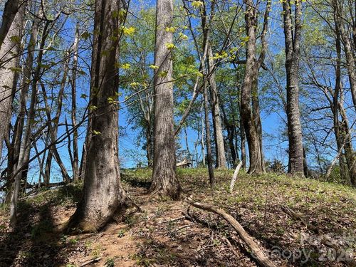 0 Crackin Chestnut Ln, Sylva, NC, 28779 | Card Image