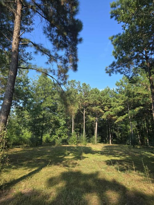 12777 Fm 252, Kirbyville, TX, 75956 | Card Image