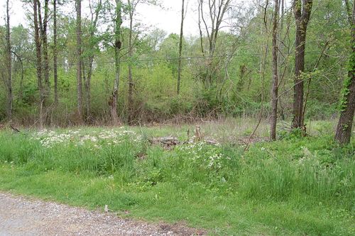 67 51st Ave, Gruetli Laager, TN, 37339-5022 | Card Image