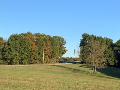 View of Meadow and Treeline | Image 2