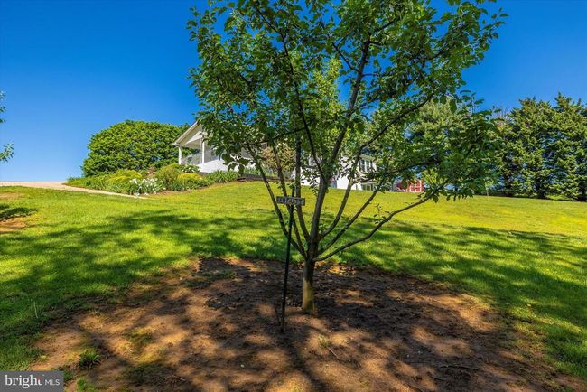9632 Harmony Rd, House other with 3 bedrooms, 2 bathrooms and null parking in MYERSVILLE MD | Image 34