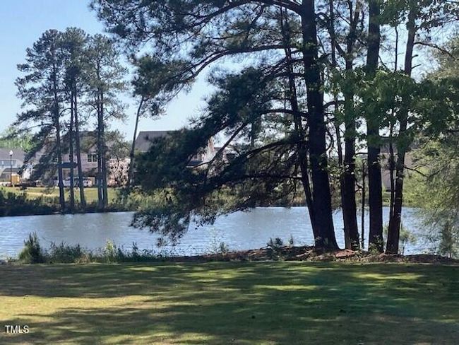 pond | Image 51