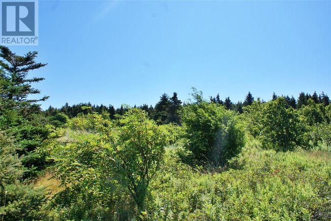 442 Southside Rd, House other with 3 bedrooms, 1 bathrooms and null parking in Harbour Grace NL | Image 6