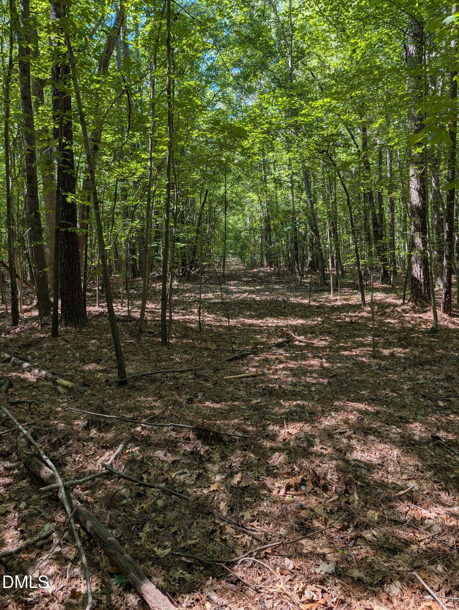 Land in Roanoke Rapids 4