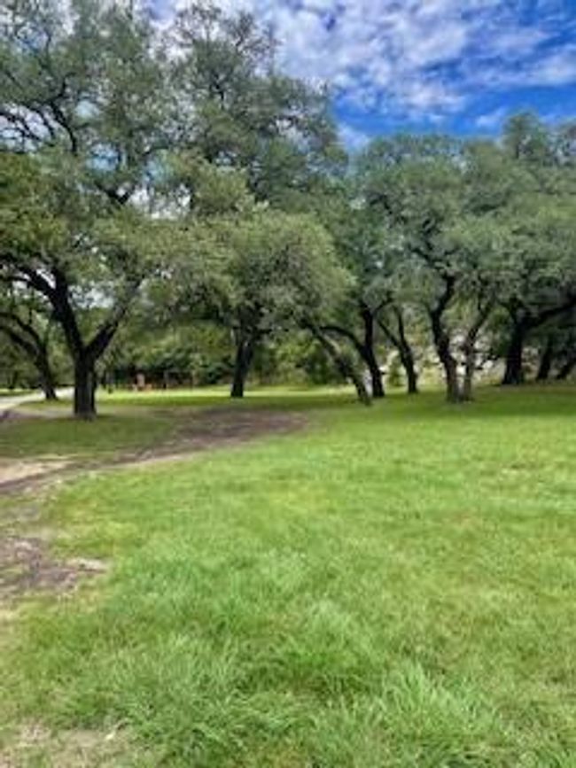 Play time at the park | Image 17
