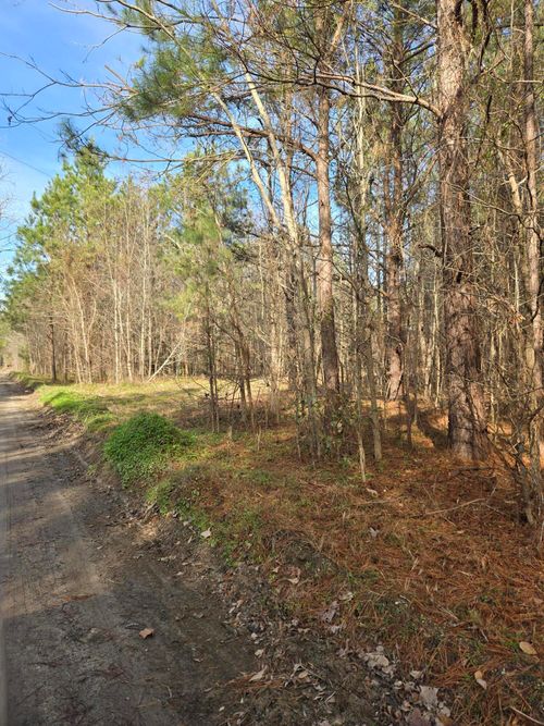 00 Whitestone Dr, Reevesville, SC, 29471 | Card Image