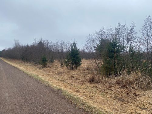 ON Shauger Rd, Ogema, WI, 54459 | Card Image