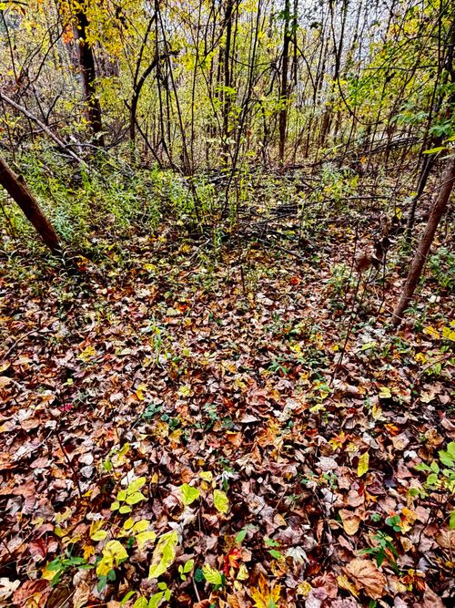 302 Hilcrest/Helen Dr., Mayville, MI, 48744 | Card Image