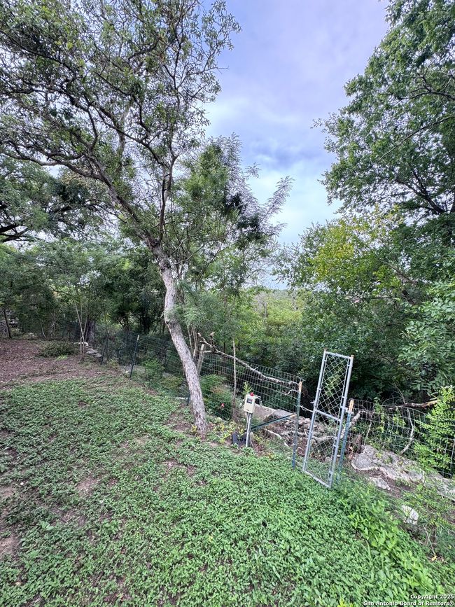 3161 Tanglewood Trl, House other with 1 bedrooms, 1 bathrooms and null parking in Spring Branch TX | Image 8