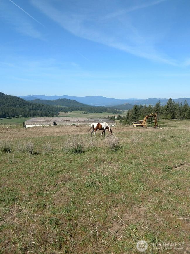 B - 5787 Fruitland Valley Rd, Home with 0 bedrooms, 0 bathrooms and null parking in Fruitland WA | Image 4