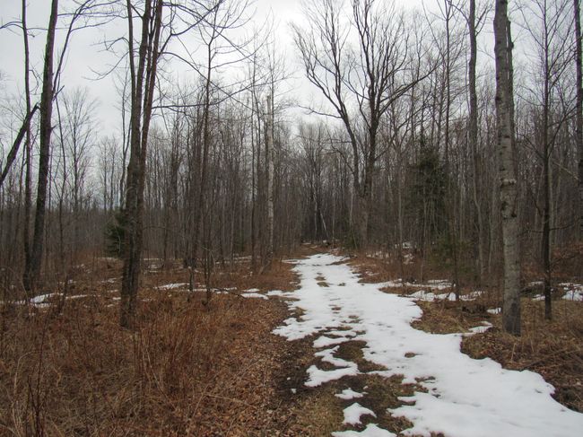 8390 Keith Siding Rd, House other with 4 bedrooms, 2 bathrooms and 3 parking in CRANDON WI | Image 52
