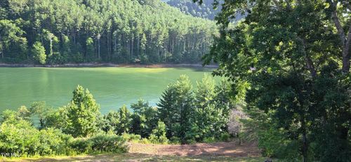 Tbd Lake Dr, Butler, TN, 37640 | Card Image