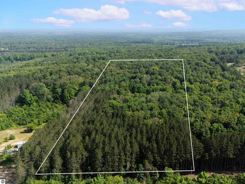 VL W Phelps Rd, Manton, MI, 49663 | Card Image