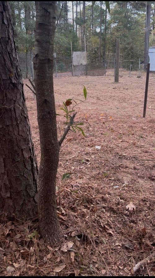 16936 Tanglewood Dr, Flint, TX, 75762-9695 | Card Image