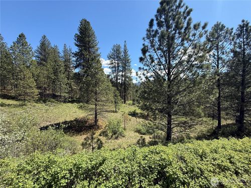 0 TBD Fir Ln, Curlew, WA, 99118 | Card Image