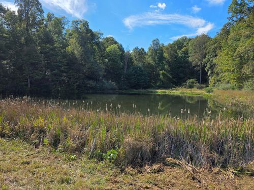 TBD Ferney Creek Rd Nw, Willis, VA, 24380 | Card Image