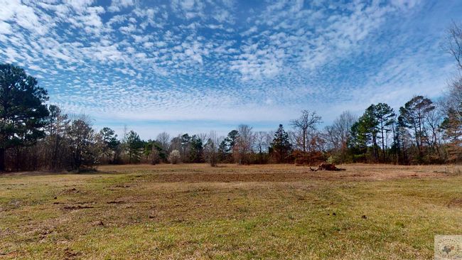 595 Pr 67004, House other with 4 bedrooms, 2 bathrooms and null parking in Maud TX | Image 28