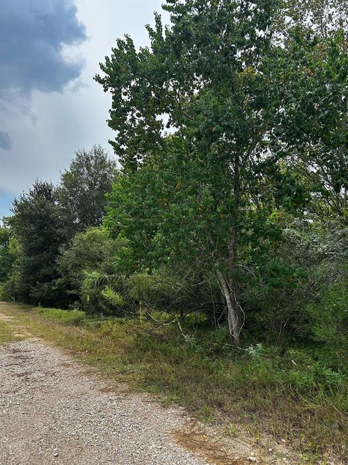 00 Moonshine Hill Rd, Humble, TX, 77338 | Card Image