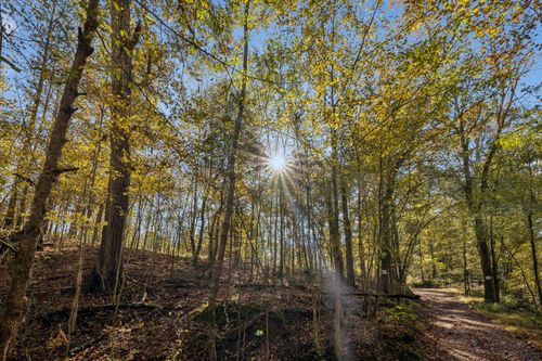 7489 Shoals Branch Rd, Primm Springs, TN, 38476-9604 | Card Image