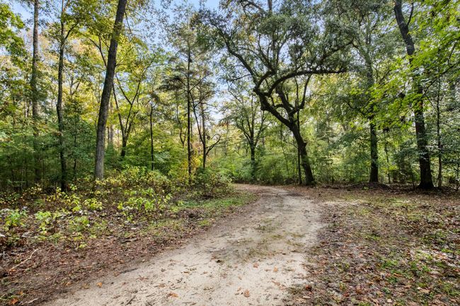 HFL_OSBORNE TRACT-8 | Image 15