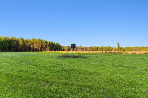 77 Acres - TBD Bert Hanna Rd., Johnsonville, SC, 29555 | Card Image