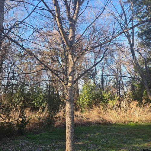 TBD Rollingwood Dr, Bullard, TX, 75757 | Card Image